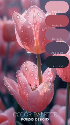 some pink flowers with water droplets on them and the words color palette in different colors