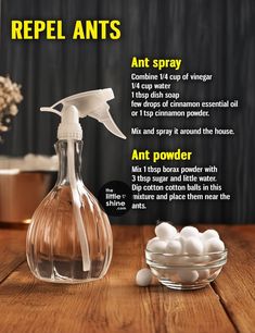 Ant Spray, Doterra Oils Recipes, Borax Powder, Cinnamon Essential Oil, Succulent Care, Cinnamon Powder, Doterra Oils, Coconut Butter, Insect Repellent