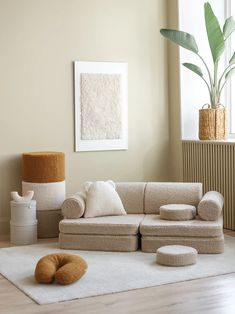 a living room filled with furniture and a potted plant on the floor next to a window