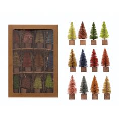 Bottle Brush Trees with Wood Base Greenhouse Home, Neighborhood Gifts, Decorative Wooden Boxes, Native Plant Gardening, Julia Berolzheimer, Tacoma Washington, Gig Harbor, Brush Trees, Seasonal Displays