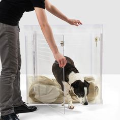 Acrylic Dog Crate is Stylish and Interior Design Friendly Zig Zag Wall, Freestanding Pet Gate, Extra Large Dog Bed, Acrylic Coffee Table, Large Dog Crate, Dog Bowl Stand, Dog Crate Furniture, Dog Playpen, Online Pet Store