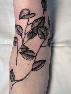 a black and white photo of a plant with leaves on its leg, done by tattoo artist