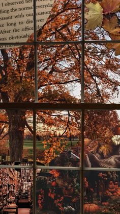 a window with autumn leaves and pumpkins on it's side, looking out onto the park