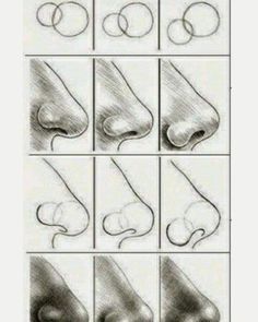 how to draw the nose and nose with pencils for beginners, step by step