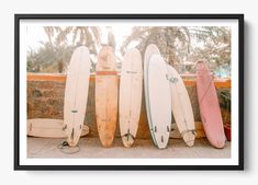 four surfboards are lined up against a wall in front of palm trees and water