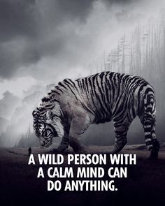 Inspiration motivation quotes Perfect Man Quotes, Fiery Personality, Tiger Quotes, Military Motivation, Calm Yourself, Funny Mean Quotes, Inspirational Quotes Background, Scary Animals