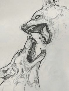 a drawing of a wolf with its mouth open