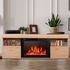 a living room with a fire place and bookshelves on the wall, in front of a potted plant