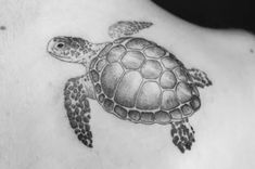 a black and white photo of a turtle on the back of a woman's shoulder