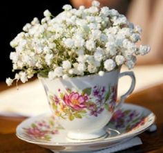 small white flowers in a tea cup on a saucer