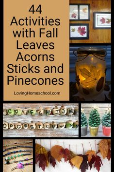 fall leaves and pinecones with text overlay that reads 44 activities with fall leaves acorns and pinecones