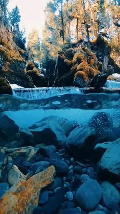 the water is running over rocks and trees