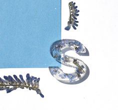 the letter s is surrounded by small blue flowers and silver leafy stems on a light blue background