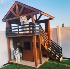 a dog house with two dogs in it