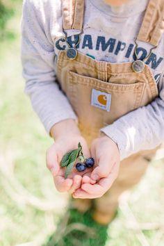 a little boy holding some berries in his hands