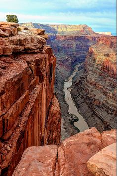 a river running through a canyon surrounded by rocky mountains and cliffs in the distance with a lone tree growing on top