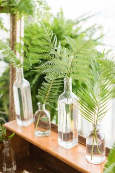 three vases with plants in them on a table