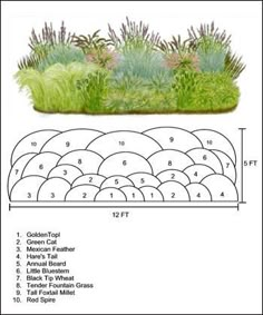 an image of a garden plot with grass and flowers in the center, surrounded by other plants