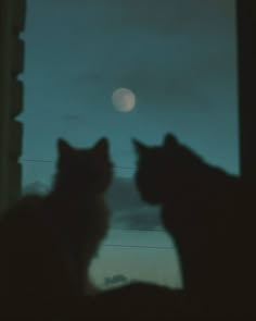 two cats are looking out the window at the moon