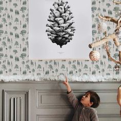 a young boy reaching up to a pine cone hanging on the wall