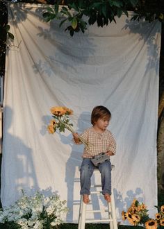 a little boy sitting on a stool holding flowers in front of a white backdrop with sunflowers