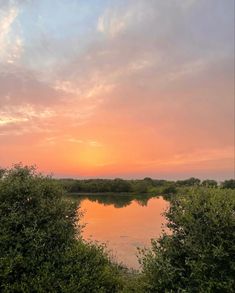 the sun is setting over a body of water with trees and bushes in front of it