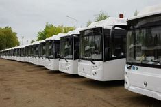 several buses are lined up next to each other on the dirt road in front of trees