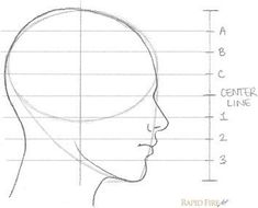 a drawing of a woman's head with lines drawn on the face and neck