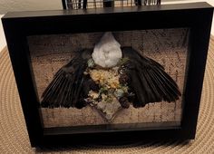 there is a bird that is sitting in the shadow box on the floor and its wings are spread out