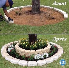 two pictures showing how to make a flower bed around a tree