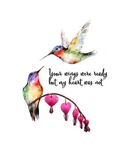 Hummingbird Quotes, Hummingbird Tattoo Watercolor, Memorial Tattoo Quotes, Remembrance Tattoos, Tasteful Tattoos, Mother Tattoos, Hummingbird Art, Hummingbird Tattoo, Memorial Tattoo