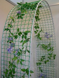 a green planter with purple flowers growing out of it's sides and hanging from the ceiling