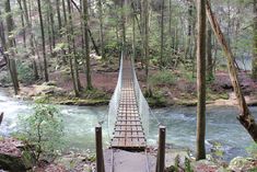 a suspension bridge over a river in the woods