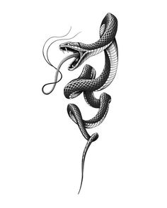 a black and white drawing of a snake