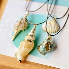 three seashells are hanging from a necklace