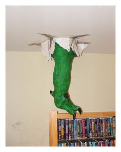 the book shelf is full of books and there is a fake dinosaur head hanging from the ceiling