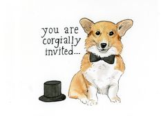 a drawing of a corgi dog wearing a top hat and bow tie with the words you are corgigly involved