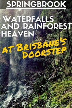 a book cover with an image of a waterfall and the words at bushland's doorstep