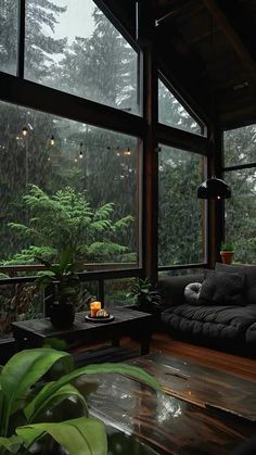 a living room filled with lots of windows next to a lush green tree covered forest