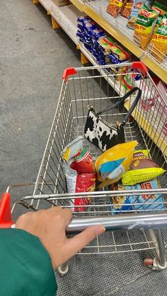 a person pushing a shopping cart filled with food