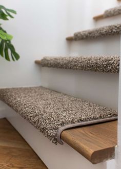 the carpeted stair treads are clean and ready to be used in any home