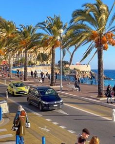 people are walking on the sidewalk by the water and palm trees in front of them