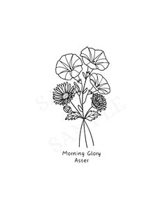 a black and white drawing of flowers with the words morning glory aster