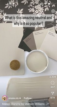 what is this amazing neutral and why is it so popular? by melon blanche