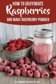 raspberry powder in a metal bowl next to a bucket of raspberries