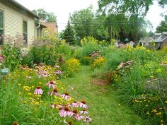 a garden filled with lots of flowers next to a house