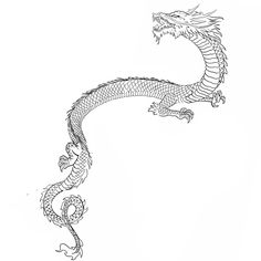 a black and white drawing of a dragon on a white background, with the tail curled up