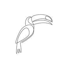 a black and white drawing of a toucan bird with a long beak on it's head