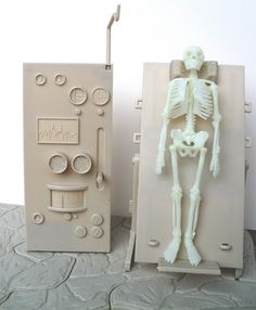 there is a model of a human skeleton next to another