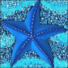 a blue starfish laying on some rocks